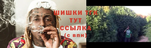 СК Верея