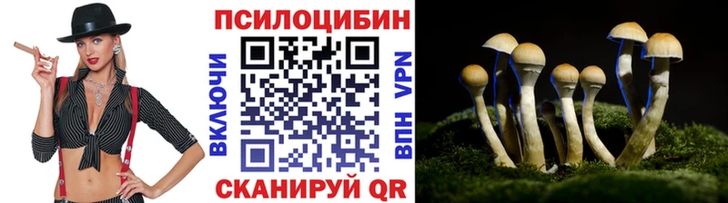 Псилоцибиновые грибы прущие грибы  Гатчина 